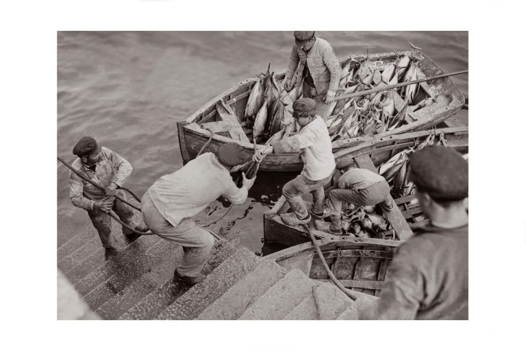 Photo d'époque Pêche n°79 - débarquement du thon