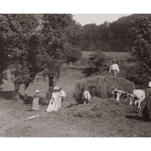 Photo d'époque Campagne n°20 - ramassage du foin