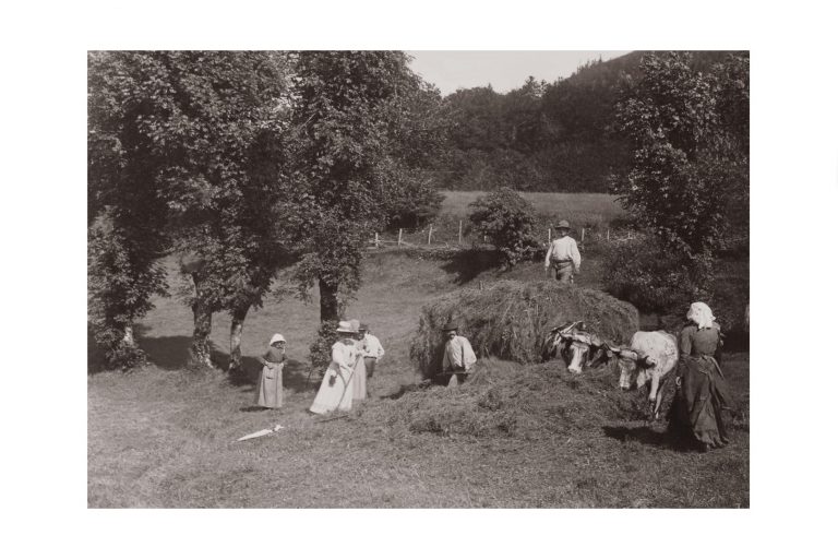 Photo d'époque Campagne n°20 - ramassage du foin