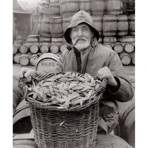 Photo d'époque Pêche n°81 - pêcheur de sardines