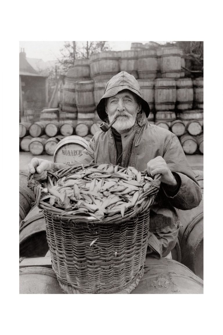 Photo d'époque Pêche n°81 - pêcheur de sardines