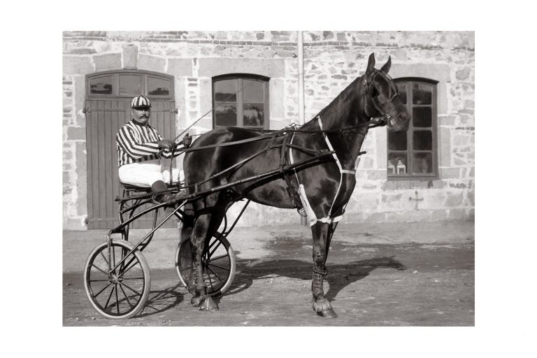Photo d'époque Equitation n°56 - Artezia Jument baie née en 1890 gagnante du prix d'Amérique à Nice
