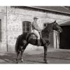 Photo d'époque Equitation n°57 - Marabout Trotteur alezan né en 1890