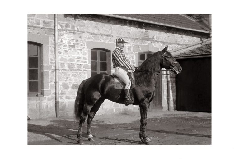 Photo d'époque Equitation n°57 - Marabout Trotteur alezan né en 1890