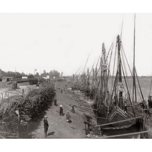 Photo d'époque Invitation au voyage n°10 - Déchargement de la canne à sucre sur le Nil