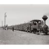 Photo Locomotive n°17 - Transport de la canne à sucre en Haute Egypte