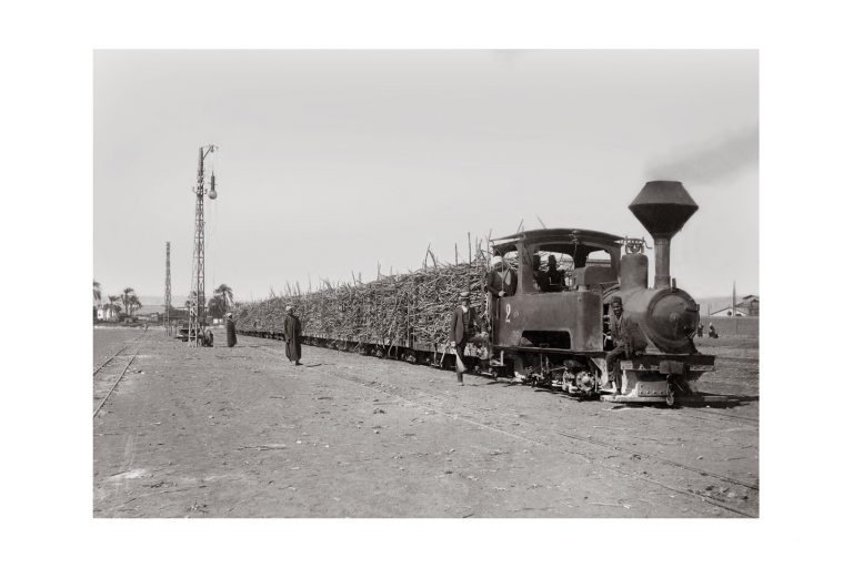Photo Locomotive n°17 - Transport de la canne à sucre en Haute Egypte