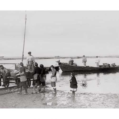 Photo ancienne Noirmoutier n°14