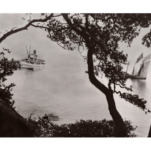 Photo ancienne Noirmoutier n°15