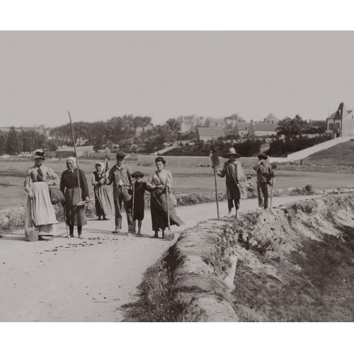 Photo d'époque Campagne n°23 - travail des champs en famille