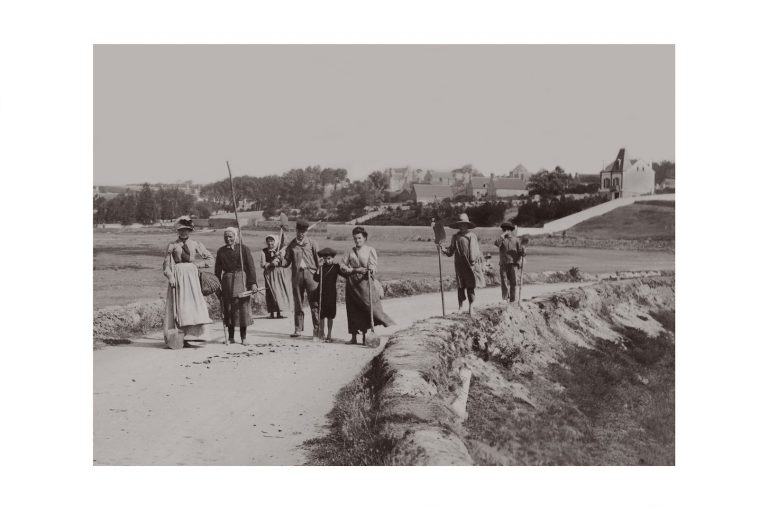 Photo d'époque Campagne n°23 - travail des champs en famille