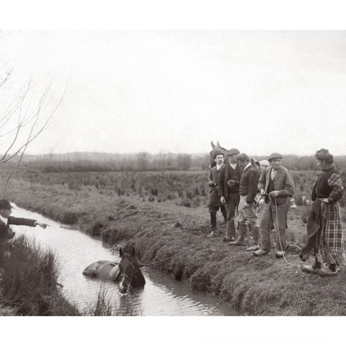 Photo d'époque Equitation n°59 - sauvetage d'un cheval tombé dans une rivière