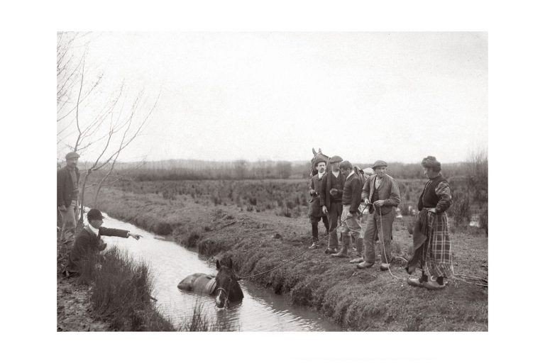 Photo d'époque Equitation n°59 - sauvetage d'un cheval tombé dans une rivière