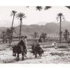 Photo d'époque Invitation au voyage n°15 - hommes berbères à dos d'ânes