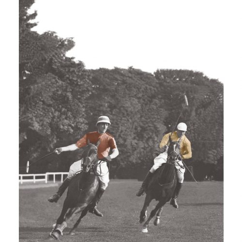 Photo d'époque Equitation couleur n°63 - match de polo - Equipe anglaise - entrainement à Hurlingham (40x60)