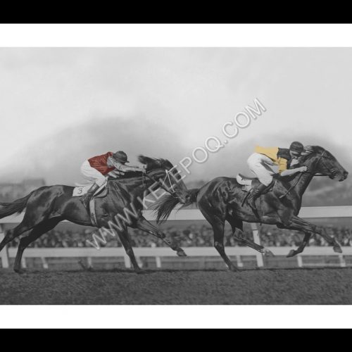 Photo d'époque Equitation couleur n°39 - W.S. Cox Plate (60x90) Photographe Victor Forbin