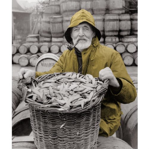 Photo d'époque Pêche couleur n°81 - pêcheur de sardines (1M50)