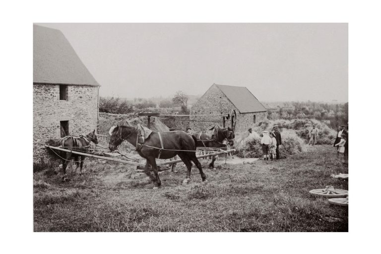 Photo d'époque Campagne n°30 - Batteuse mécanique à la ferme