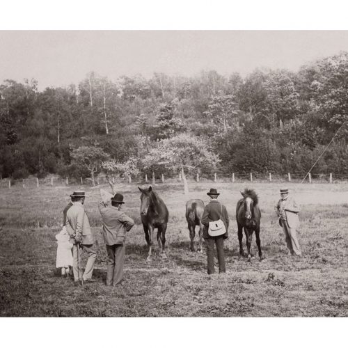 Photo d'époque Campagne n°31 - marchands de chevaux