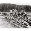 Photo d'époque Métiers n°50 - Flottage du bois