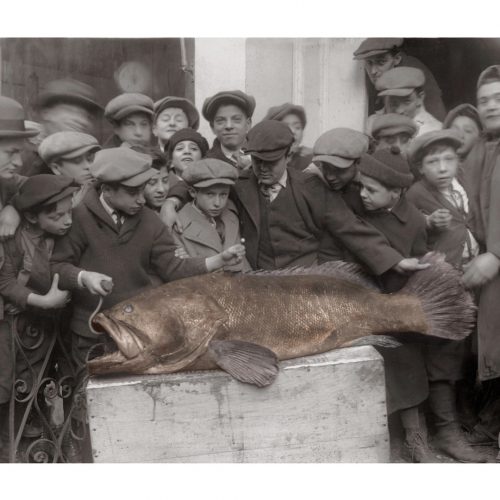 Photo d'époque Pêche couleur n°29 - trophée de pêche - photographe Victor Forbin