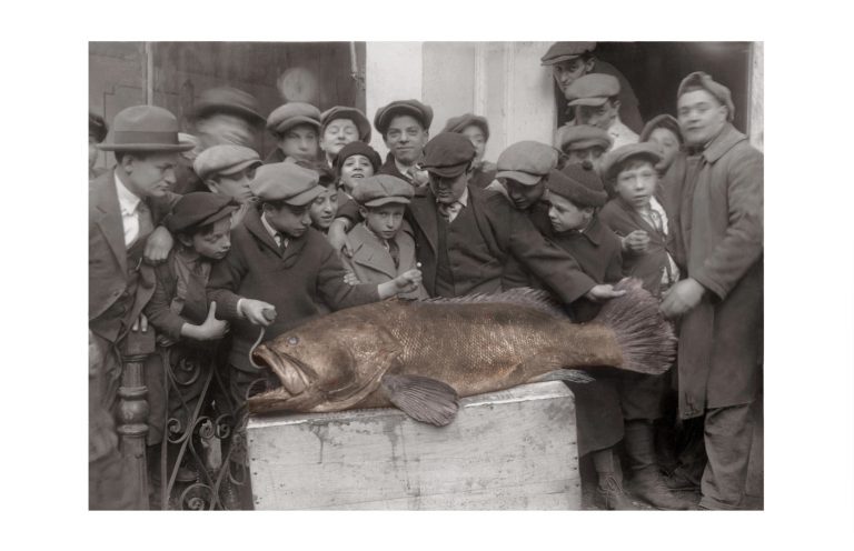 Photo d'époque Pêche couleur n°29 - trophée de pêche - photographe Victor Forbin